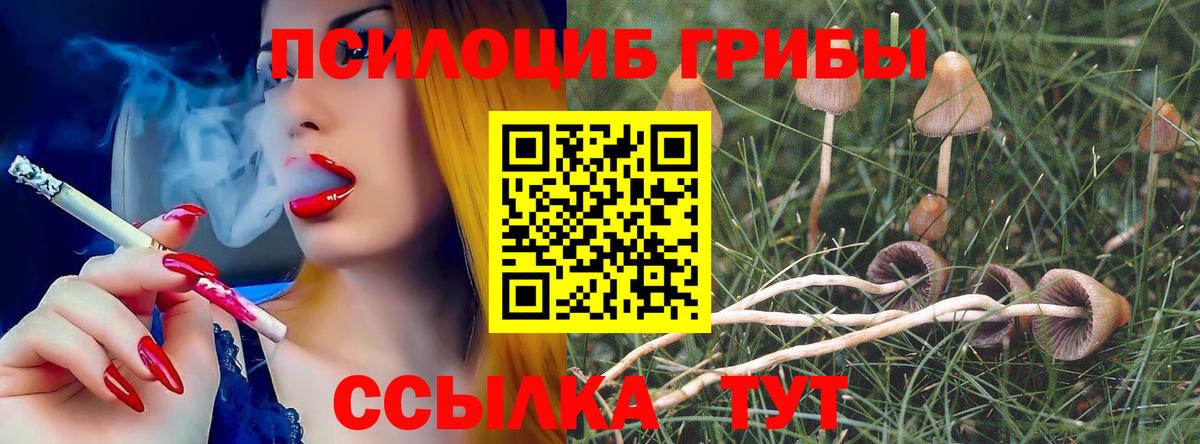 Галлюциногенные грибы GOLDEN TEACHER  Галлюциногенные грибы Psilocybe  Мелеуз 